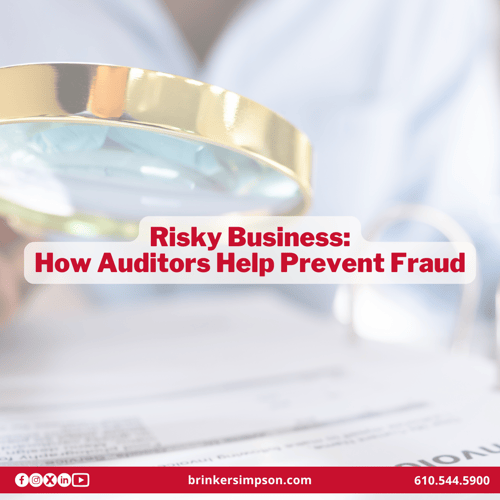 Risky Business: How Auditors Help Prevent Fraud