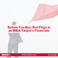 Before You Buy: Red Flags in an M&A Target’s Financials