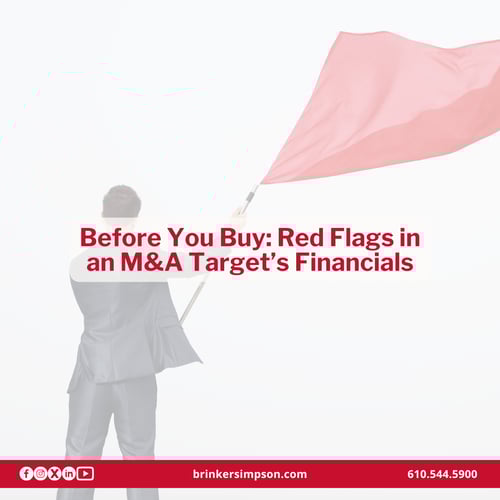Before You Buy: Red Flags in an M&A Target’s Financials