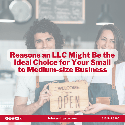 Reasons an LLC Might Be the Ideal Choice for Your Business