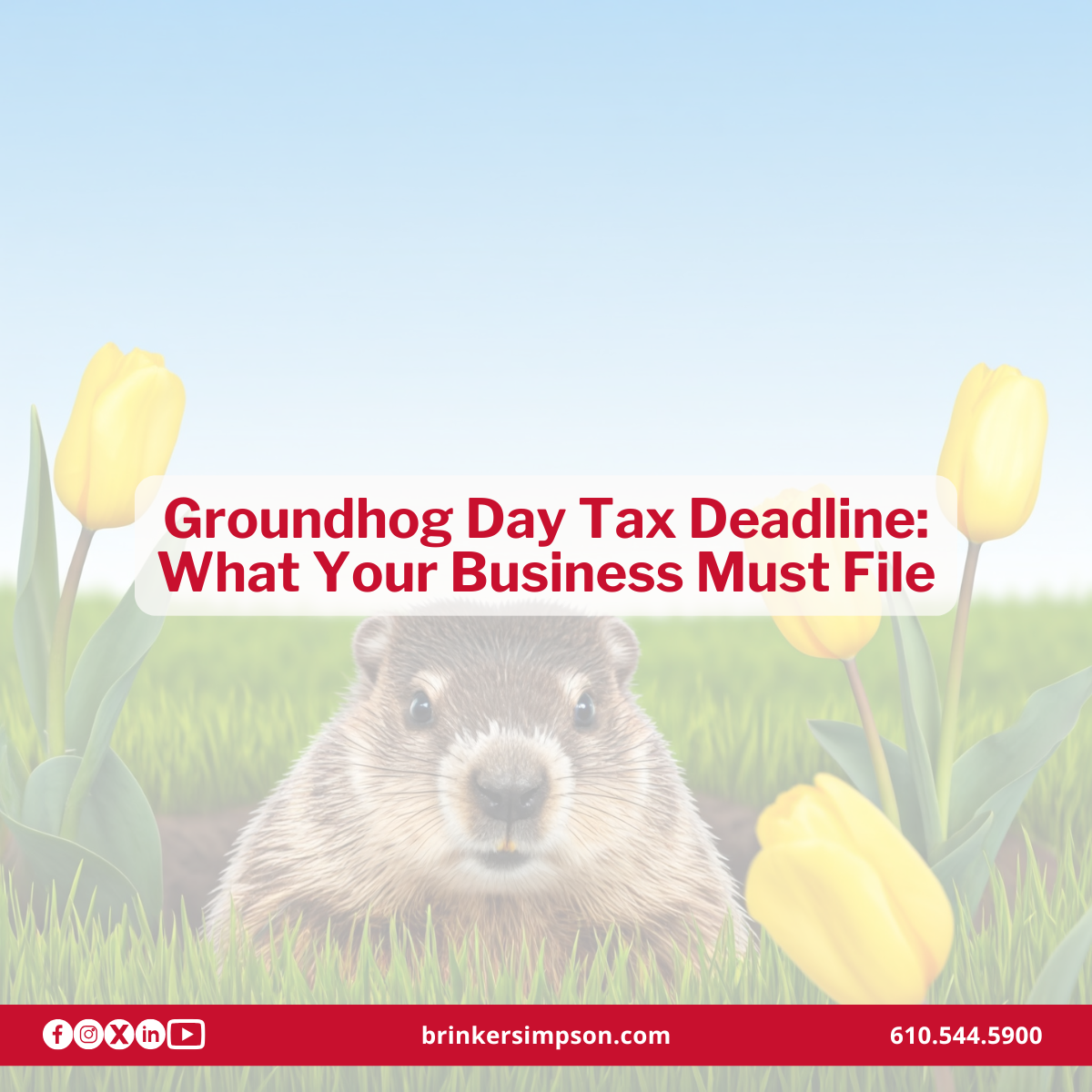 Groundhog Day Deadline: What Your Business Must File
